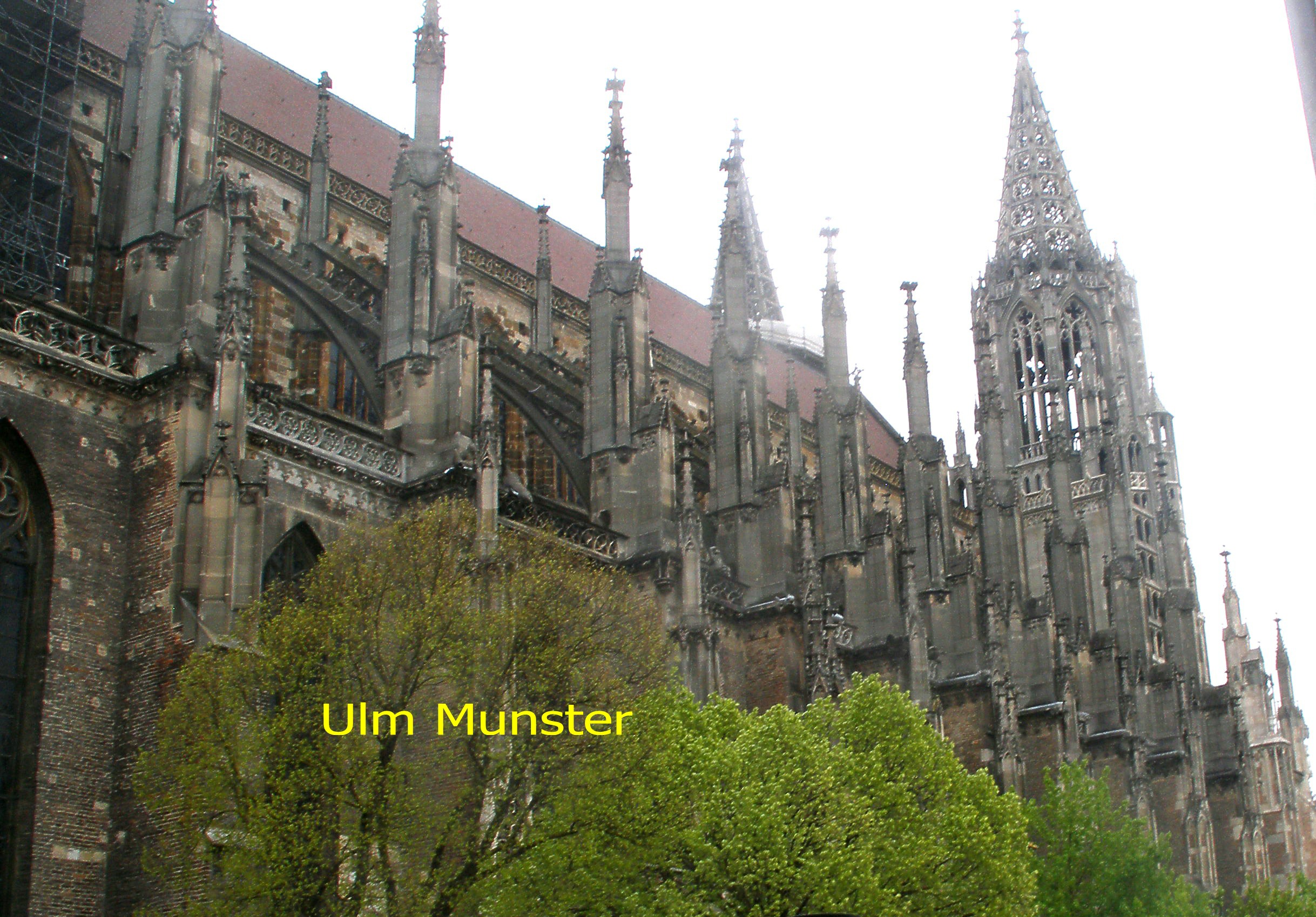 Munster