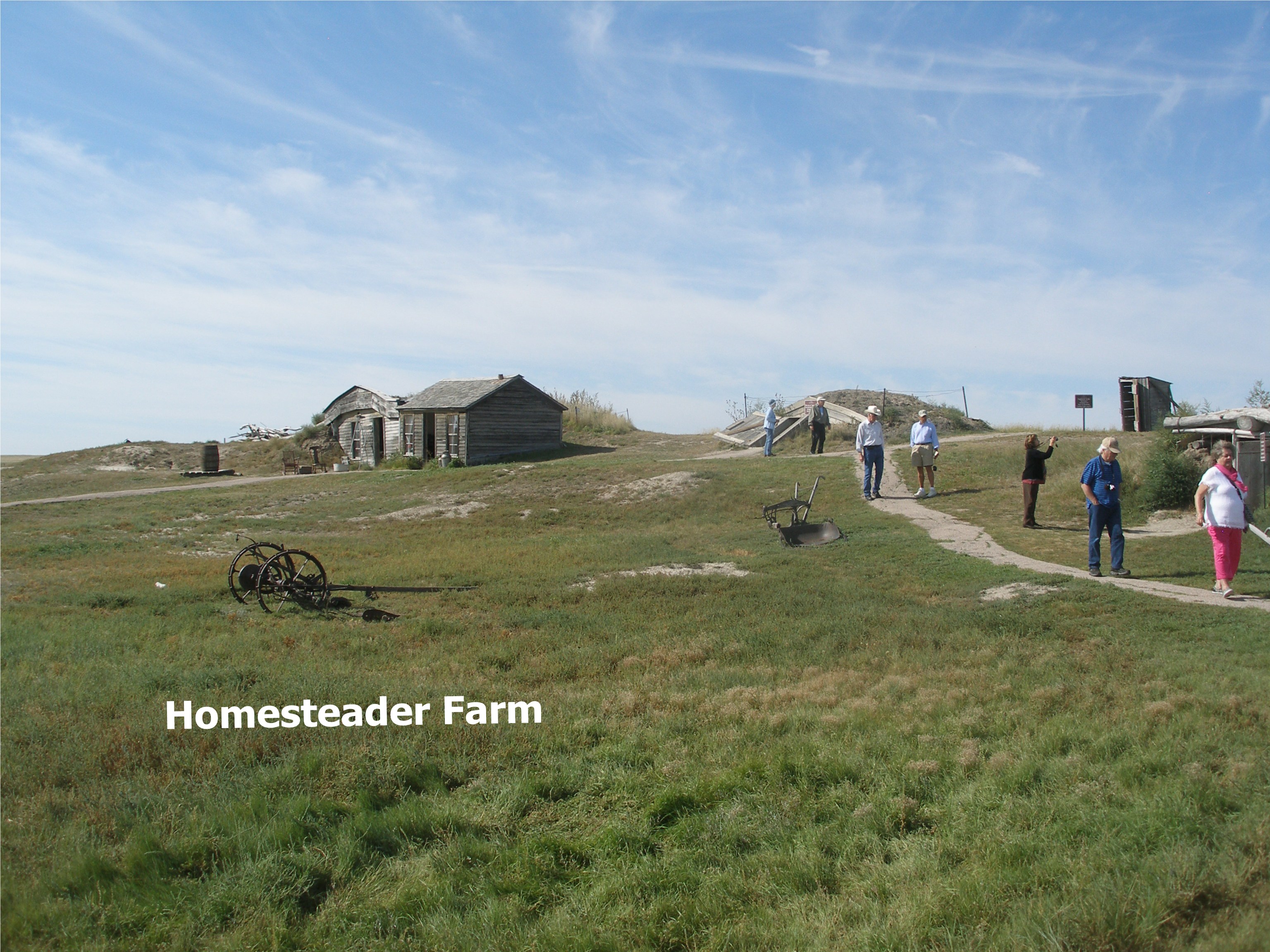 Homestead